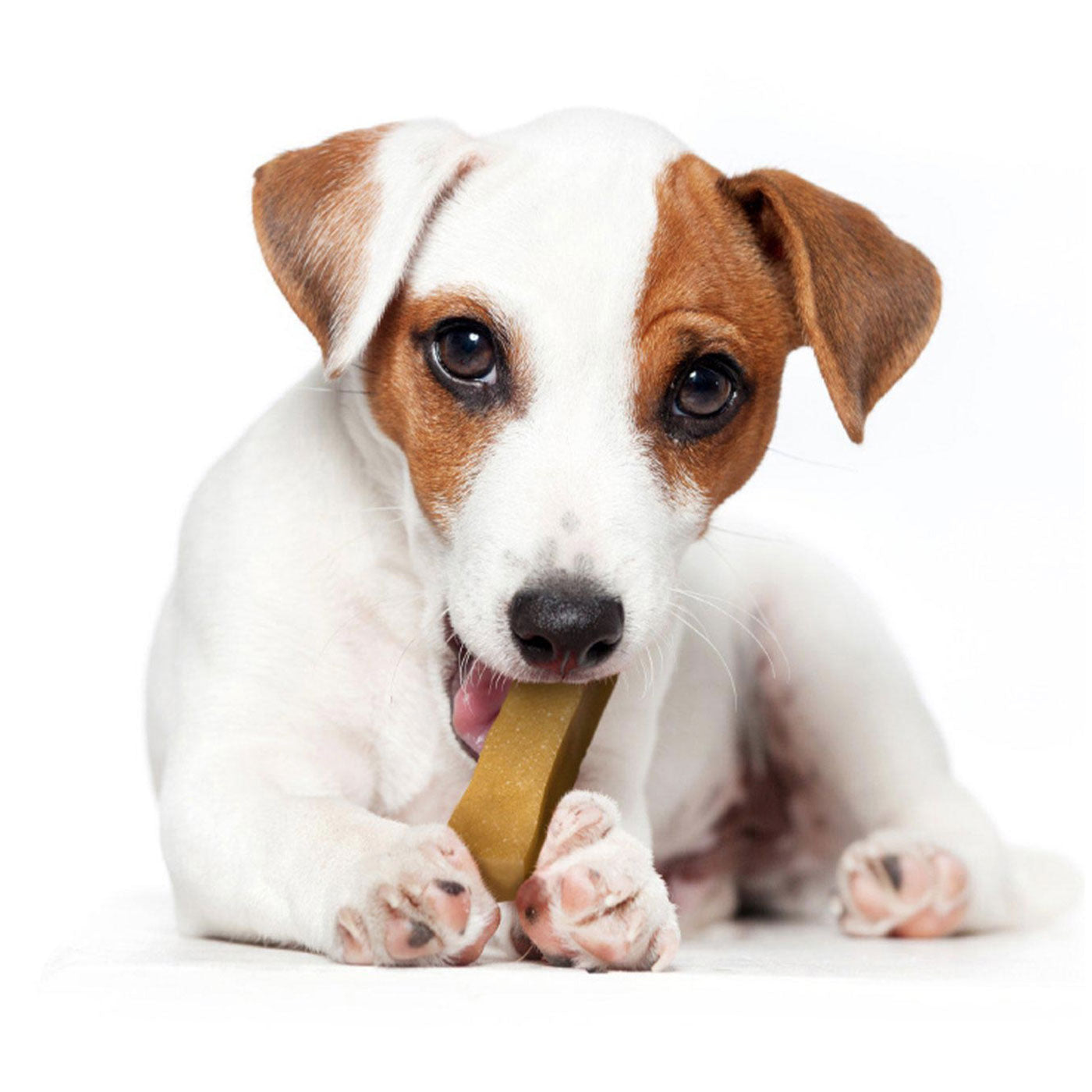 Yakers Dog Chew